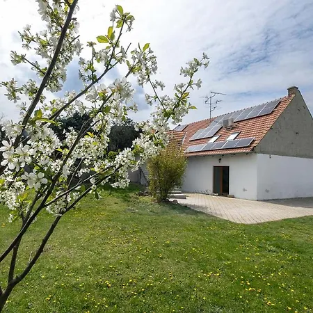 Irma * Brezi (Breclav)